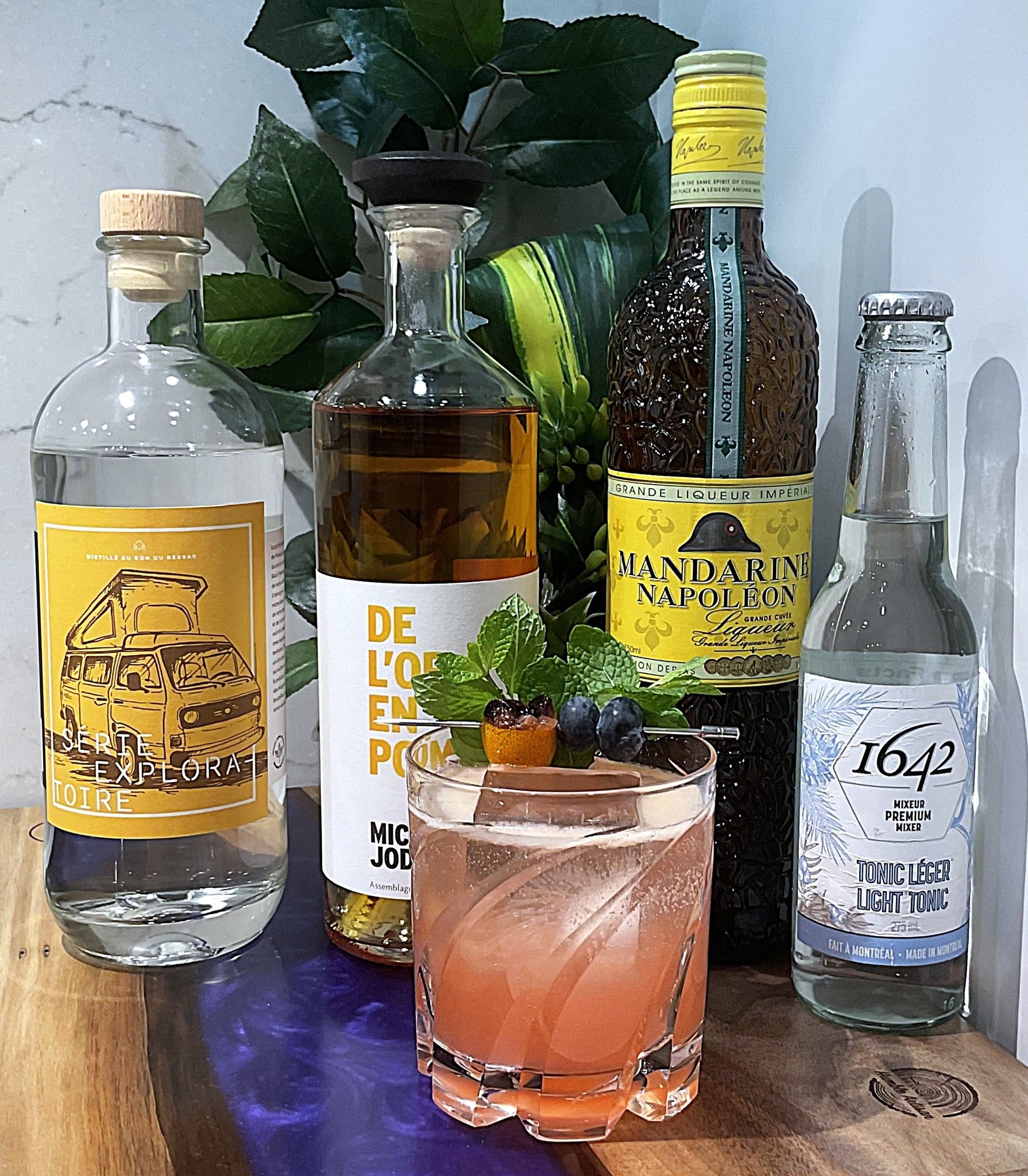 Enchanted Fig Prelude