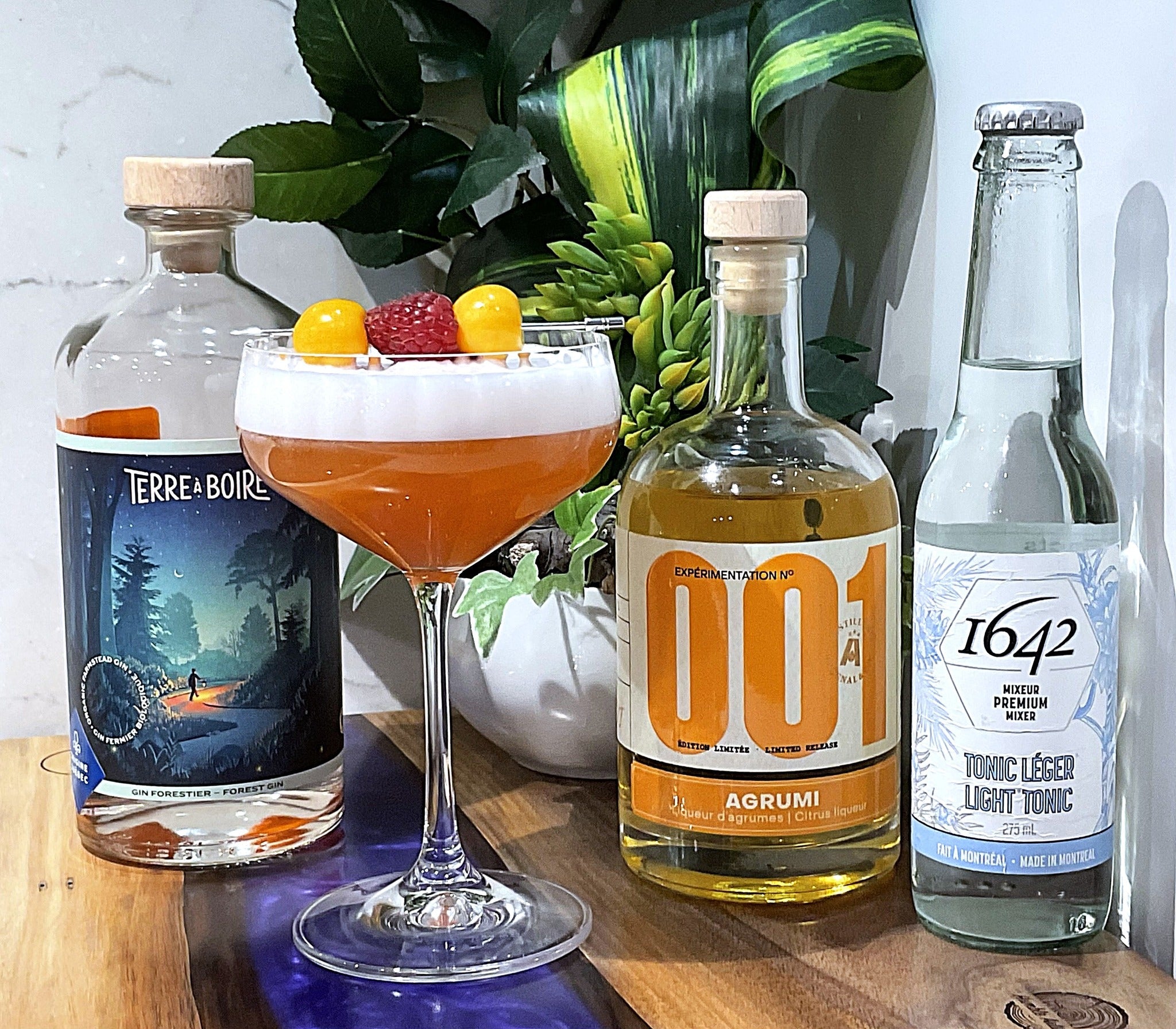 Earth Awakening - 1642 Tonics and Mixers