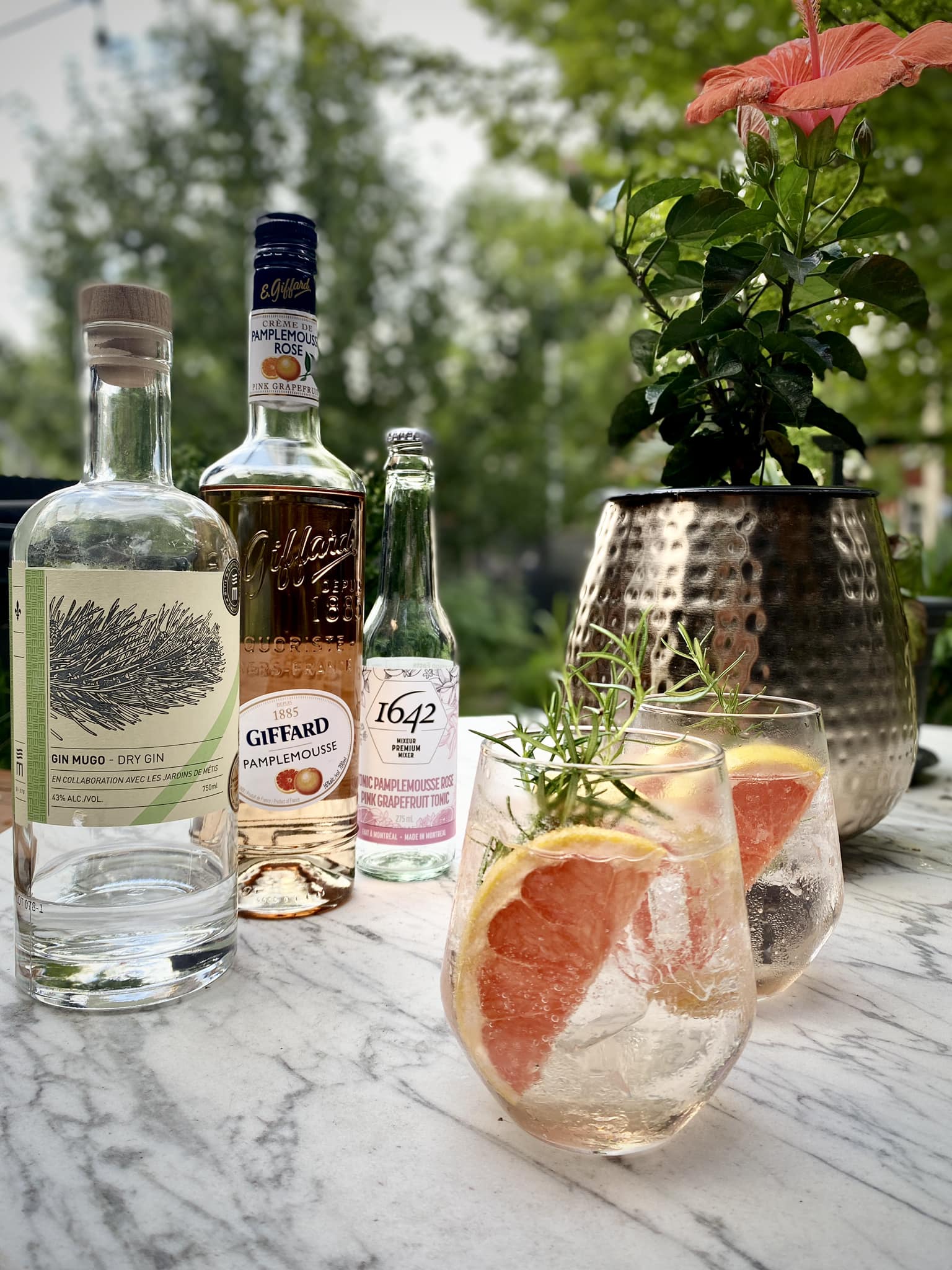 Ginto essentiel - 1642 Tonics and Mixers