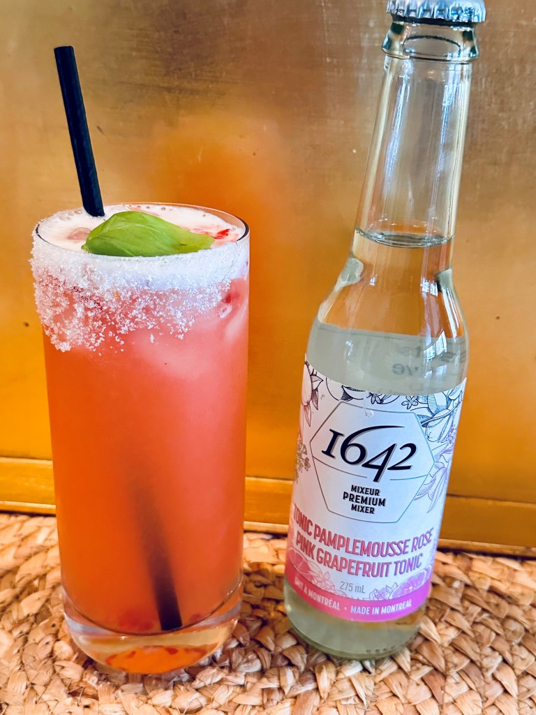 Fizz Ton Gin - 1642 Tonics and Mixers