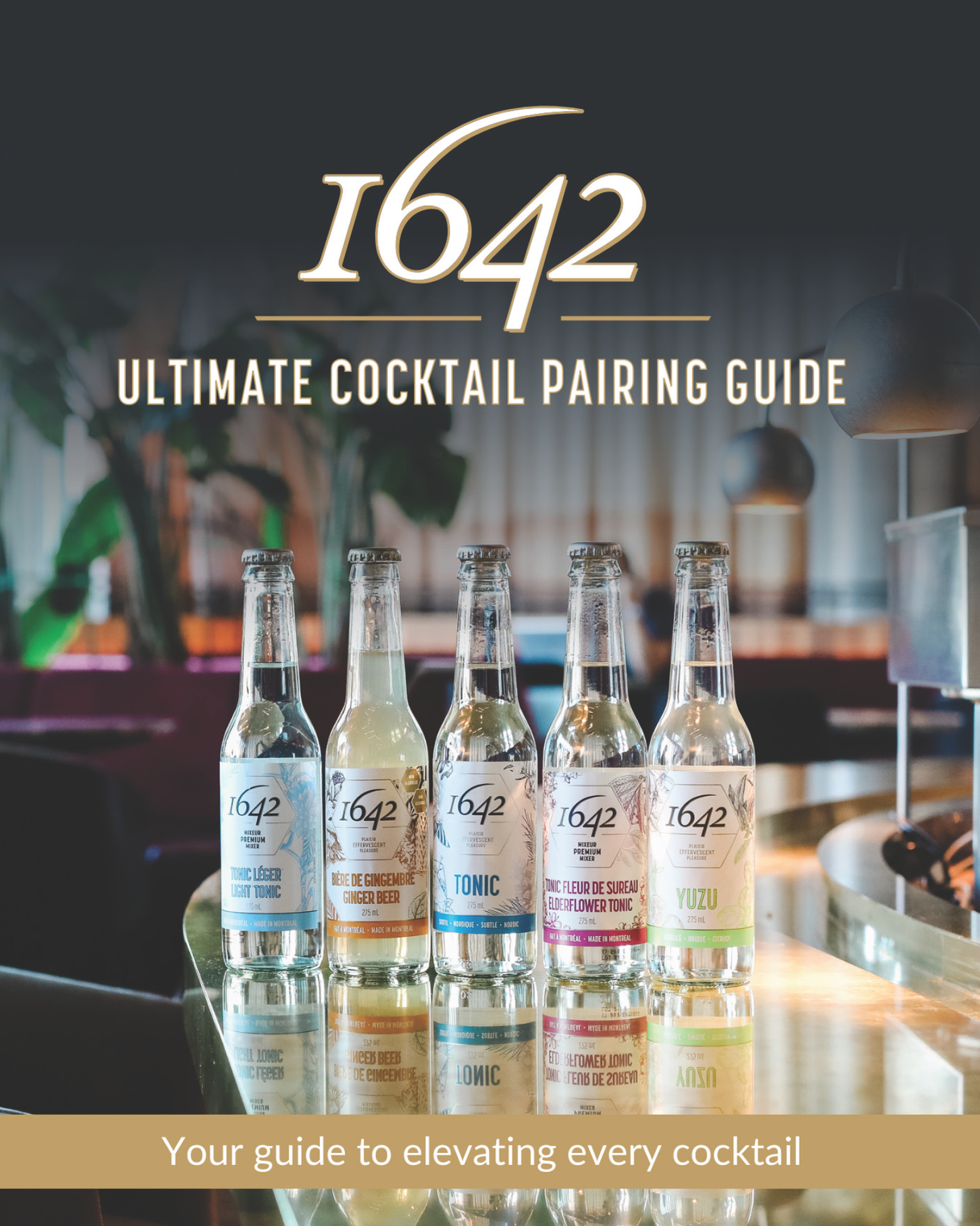 Recipe book 1642