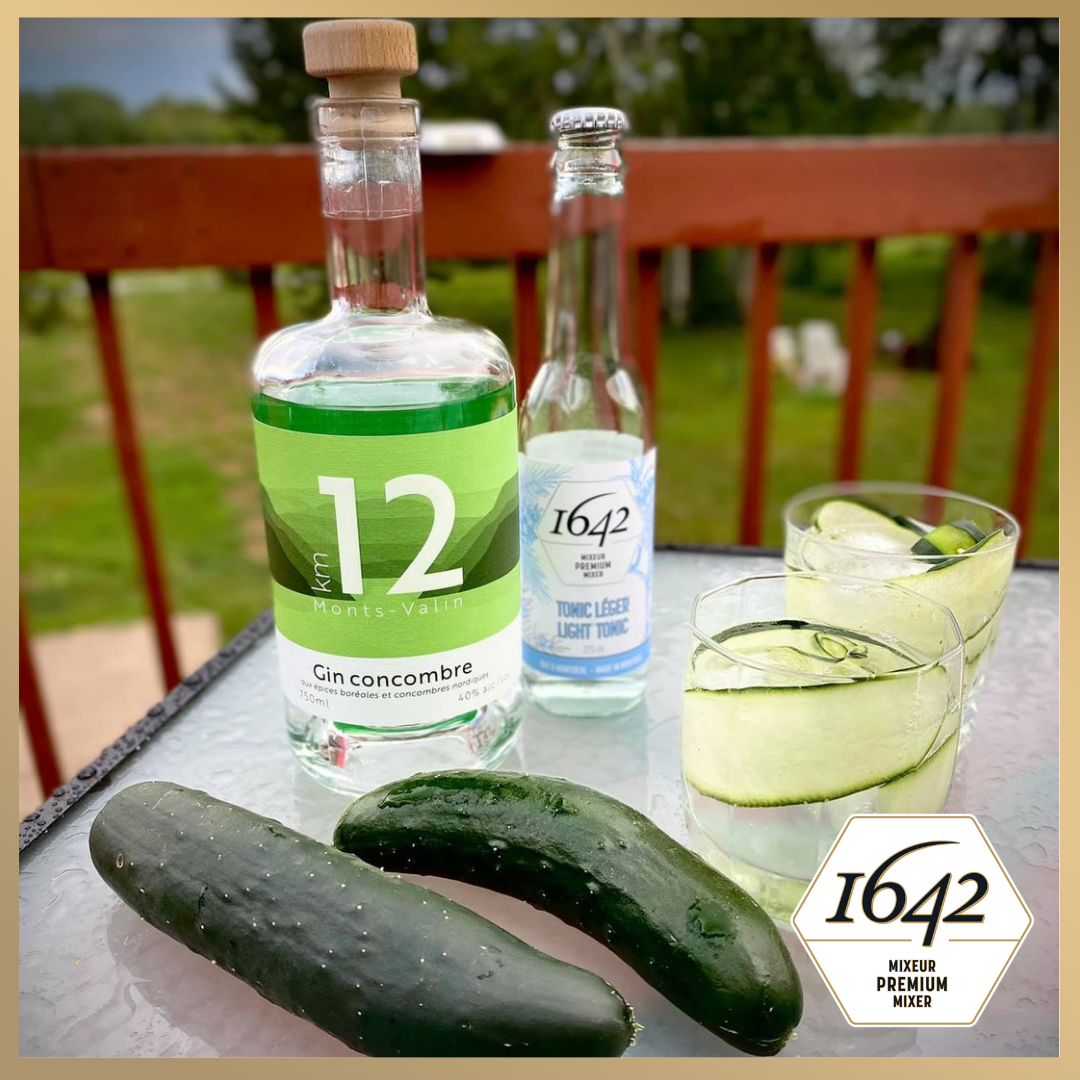 Gin Tonic cucumber