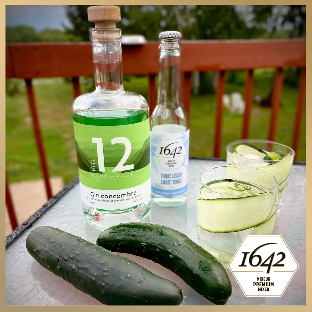 Gin Tonic Cucumber