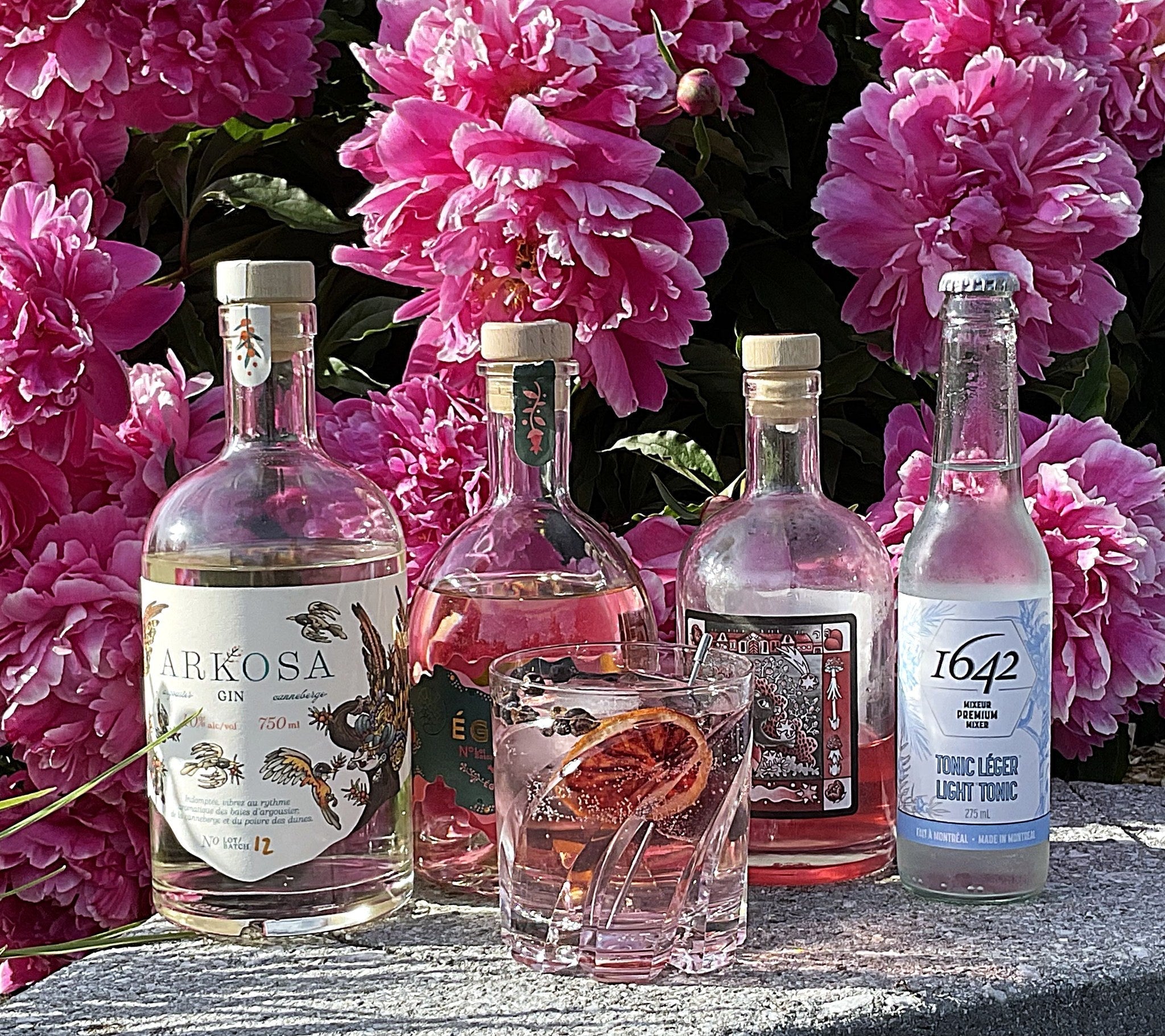 Gin & Tonic - Rose Des Vents