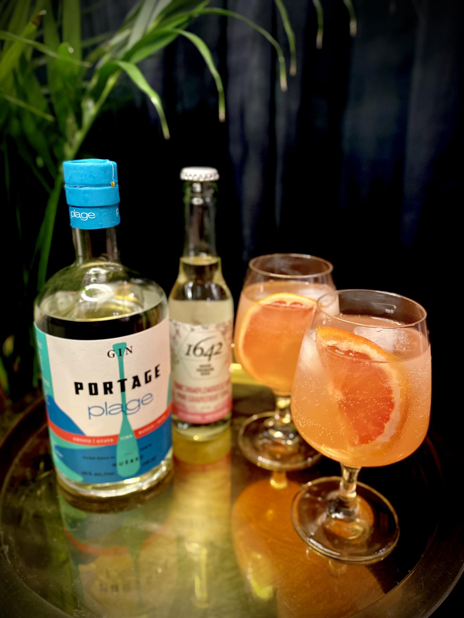 Ginto Rhum Ginto du printemps – 1642 Tonics et Mixeurs