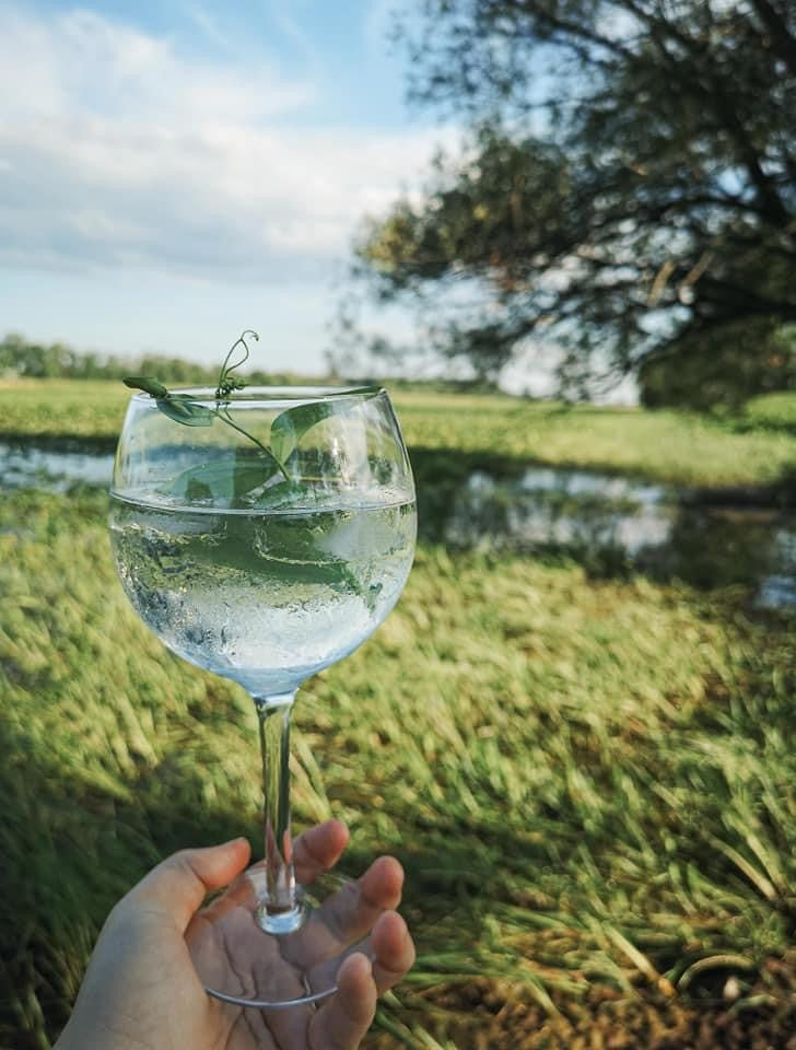 Gin Tonic Amour Forêt-Noire