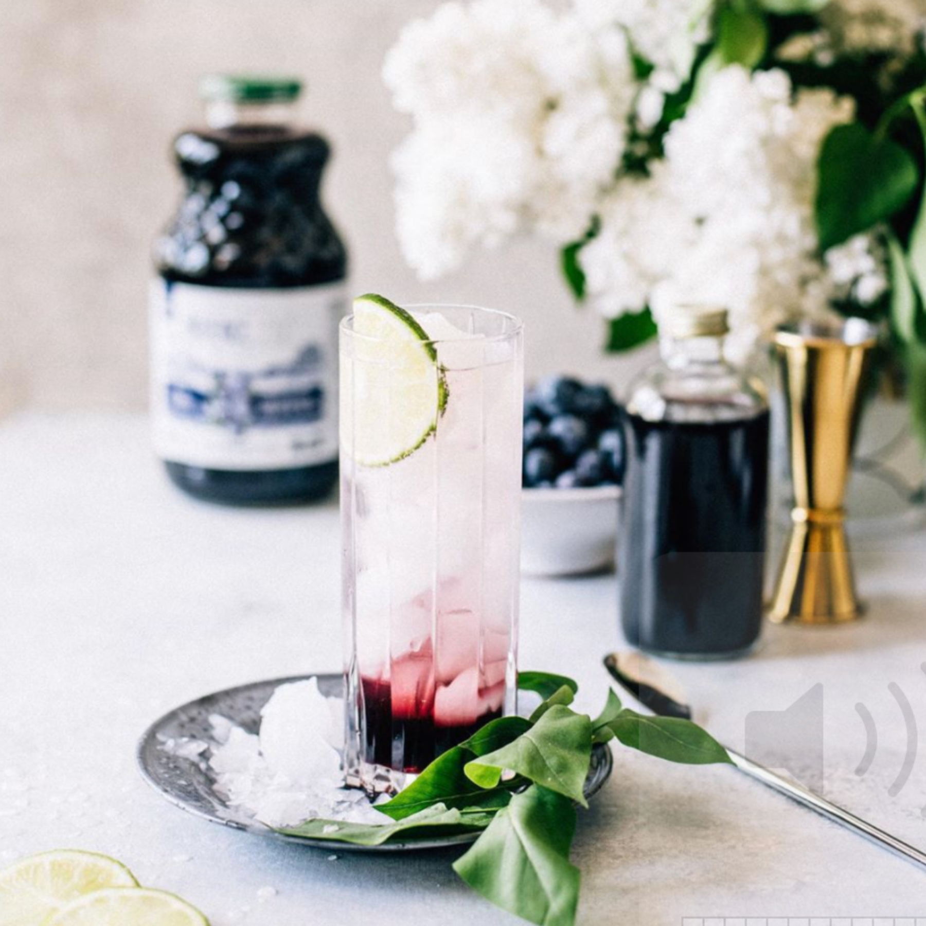 Gin Tonic with wild blueberries