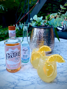 Gin Tonic with oranges from the Algarve